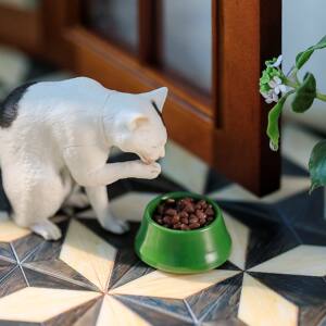 
Dog Food Cat Food Basin/Dry Food 12 points ob11gsc blind box food mini model baby house ornaments 62002
