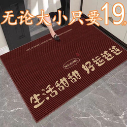 Simple and Luxurious Entrance Door Mat, Foyer Entrance Simple Carpet, Simple and Luxurious Doorway Mat, New Foyer Model