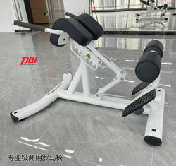 Commercial Roman Chair, Goat Stand-Up Machine, Multi-Functional Waist Twisting Machine, Hip Lift Fitness Machine, Lumbar Muscle and Abdominal Muscle Trainer, Roman Bench