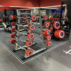 Shandong Lishan 10-Piece Small Barbell Rack Barbell Storage Rack Barbell Bar Rack Dumbbell Rack Barbell Plate Storage Rack