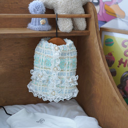 Pet Clothes for Autumn and Winter, Small Fragrance Style Pet Coat for Cats and Dogs, Fleece-Lined Vest, White Gauze Skirt Set, Maltese Clothes