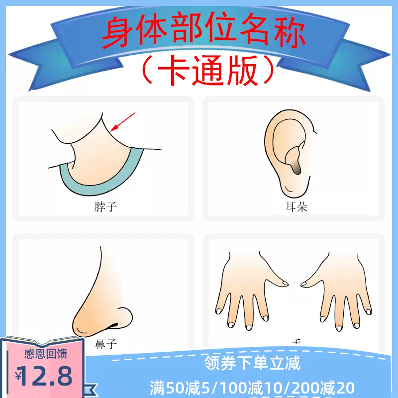 身体部位名称宝宝早教启蒙认知卡片自闭症儿童孤独症康复