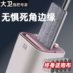 David Flat Mop for Home Use, One-Sweep Clean, Lazy Mop, Hands-Free Washing, Official Genuine Product, 2025 New Model Mop