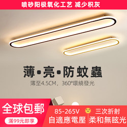 110V/220V Strip Light for Hallway, Linear Balcony Light, Entryway Light, Cloakroom Corridor Led Ceiling Light