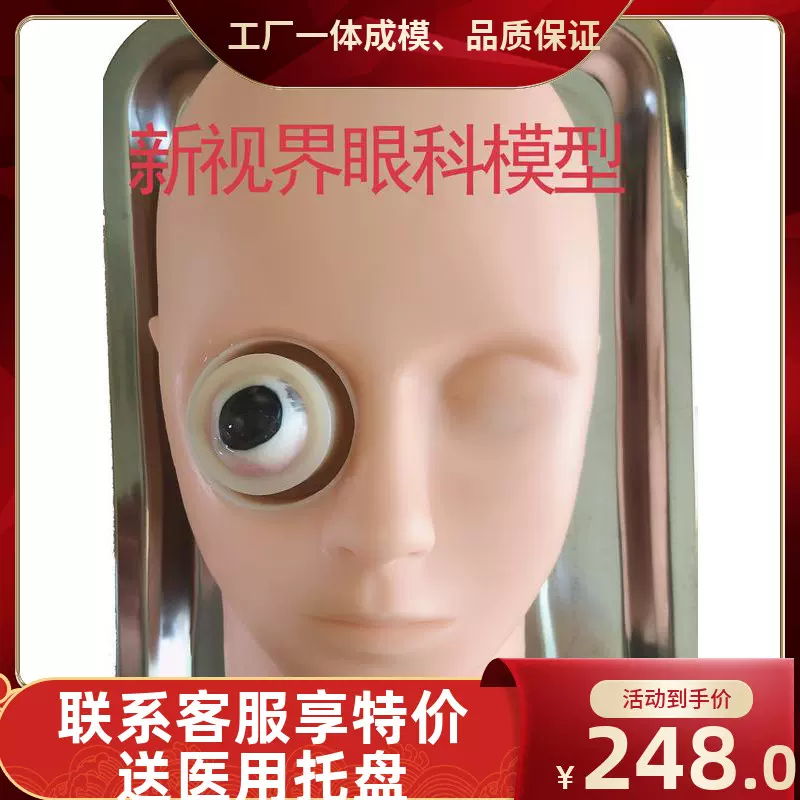 眼科手術練習模型眼科人頭模型眼球固定器豬眼眼科撕囊模型-Taobao