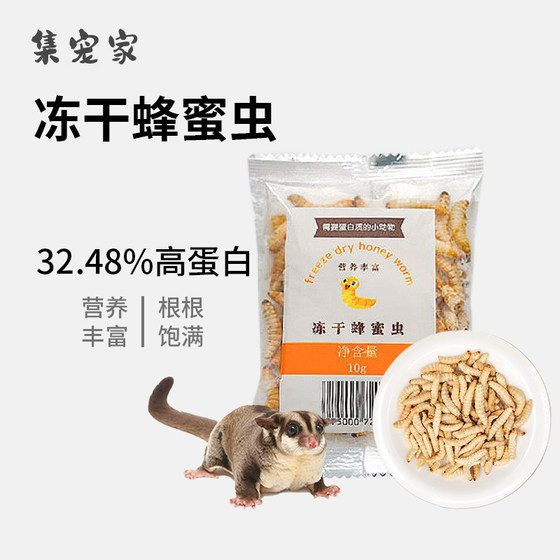 
Sugar glider snacks freeze-dried honey bugs hamster golden bear fattening food squirrel flower rat protein food