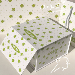 Original Design Four-Leaf Clover Magnetic Gift Box Flip-Top Style High-Value Ins-Style Birthday Packaging Storage Box Gift Box
