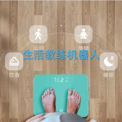 Measuring Together, Losing Weight Together: the Haoyida Lifestyle Coach Robot, a Body Fat Measuring Device, Comes with a Carrying Bag