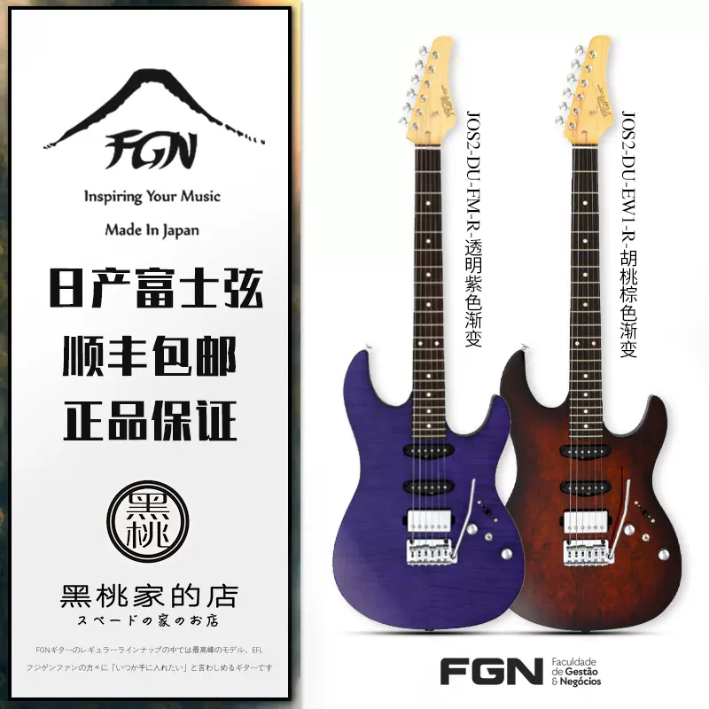 希少】FGN(Fujigen)富士弦_J-Standard_JOS 入り切れ