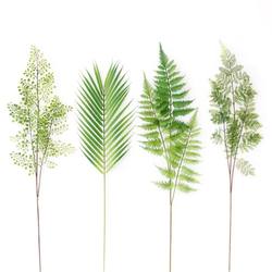 Nordic Style Long-Stem Green Plants, Artificial Asparagus Fern, Saw Leaf Palm Leaves, Simulated Persian Grass, Ferns, Home Decoration Floral Art