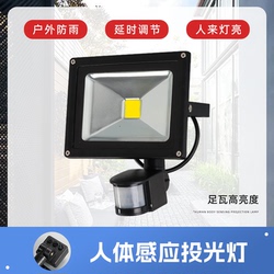 Infrared Human Body Sensor Switch Garage Lighting Smart Sensor Monitoring Supplementary Light Anti-theft Smart Sensor