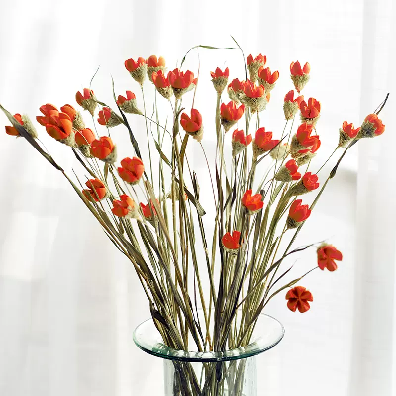 紫薇花乾燥花組合植物真花新年花束藝術花臥室家居擺設開心