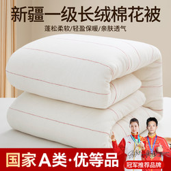 Xinjiang First-Grade Long-Staple Cotton Quilt, Pure Cotton Quilt Core, Winter Quilt, Cotton Batting, Mattress Cover, Bedding, Thickened for Winter