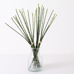 Simulated green plants, water bamboo, hotel inn photography scenery, home living room soft decoration project, artificial plants