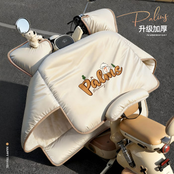 
We are looking for waterproof and cold-proof windshield for small electric vehicles