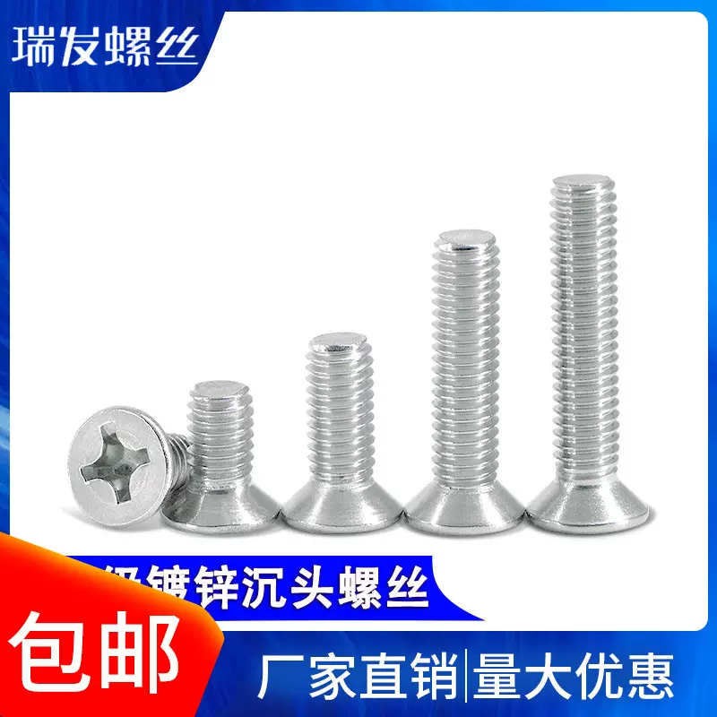 法螺貝　大形 大法螺貝