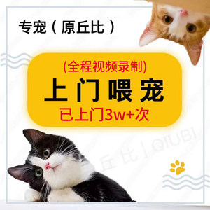 
Special pet Cupi in Beijing to feed cats and dogs to feed pets to feed business trips to Spring Festival