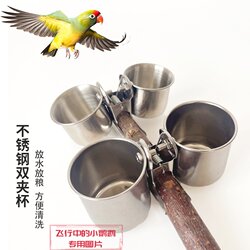 Stainless Steel Clip-On Bird Feeder Cup】Feeding Bowl for Parrots, Budgies, Lovebirds, and Finches, Water and Food Feeder for Birds