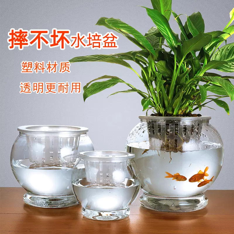 透明塑料水培懒人花盆花瓶容器室内绿萝红掌植物水