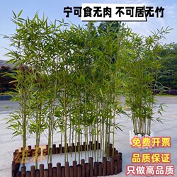 Su Zhi Ze Artificial Landscape Artificial Bamboo Store Counter Scenery Clothing Background Wall Combination Is Not Durable