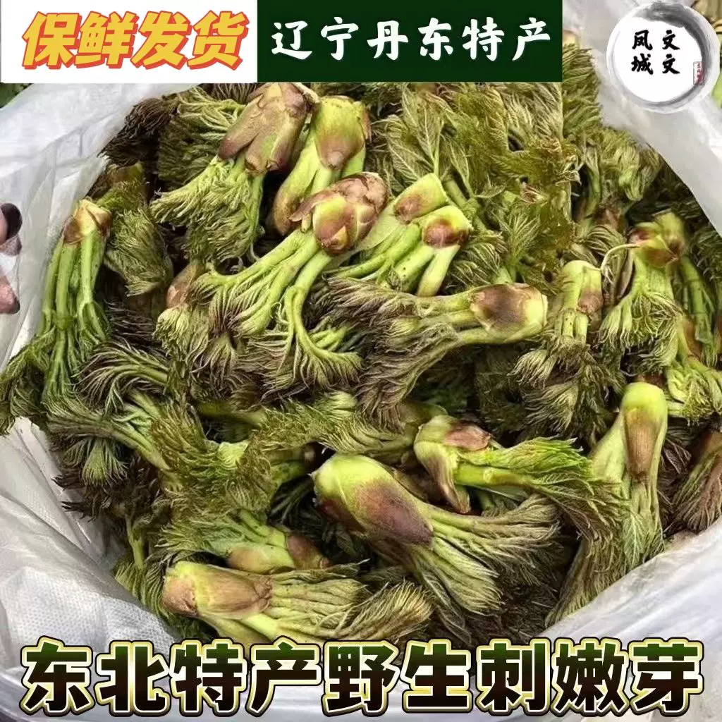 東北野生山野菜新鮮刺嫩芽刺老芽焯水冷凍