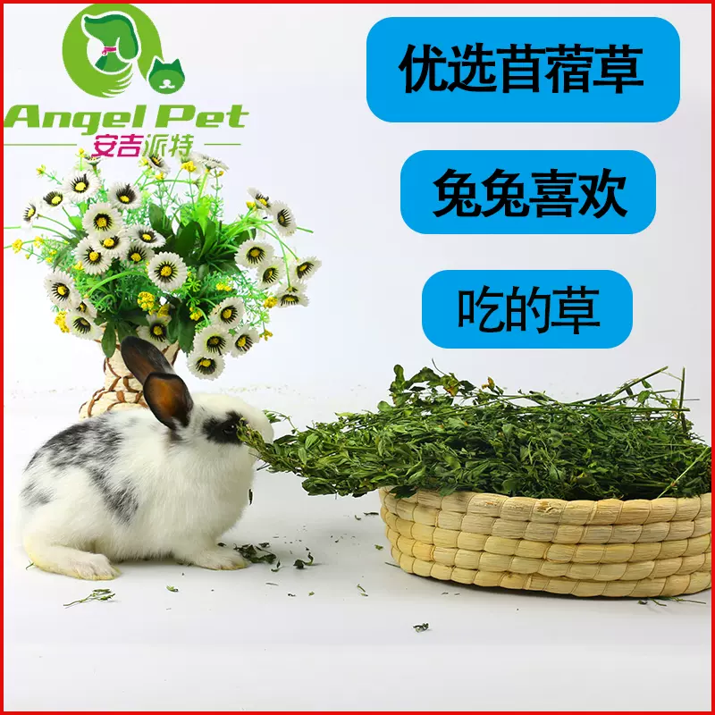 兔子紫花苜蓿草龍貓乾草兔草垂耳兔草糧兔糧