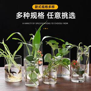 
High borosilicate glass vase water-cultured transparent living room flower arrangement flowers rich bamboo floor-standing hydroponic moss bottle ornaments