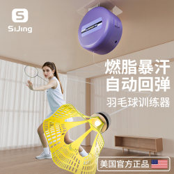 Badminton Solo Training Device for One Person to Play Badminton, Rebound Self-Playing Tool, Swing Racket Whipping Force Training Device