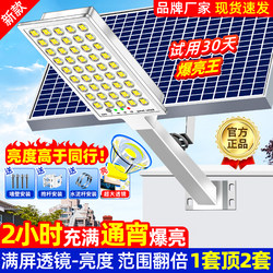 2025 New Brand Solar Outdoor Garden Lights for Home Use in Rural Yards with Sensor Led Lighting Street Lights