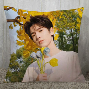 
Zhang Linghe's peripheral pillow cushion double-sided custom dormitory pillow sofa creative support gift best friend pillow