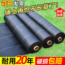 Weed Control Fabric, Durable Weed Barrier Fabric, Special Weed Control Fabric for Orchards and Fruit Trees, Ground Cover Film, Ground Cloth, Wholesale Direct from Manufacturer