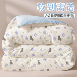 All-Season Thin Quilt, Winter Quilt, Cotton Quilt, Dormitory Single Student Non-Soybean Quilt Core, Spring and Autumn Quilt, Air-Conditioning Quilt, Bedding