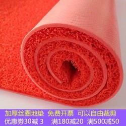 Floor Mat, Entrance Door Mat, Outdoor Red Carpet, Plastic Wire Loop Mat, Waterproof Door Mat, Commercial Entrance Mat, Non-Slip Mat
