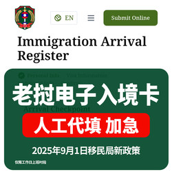 Laos E-Visa Application Form Filling Service or Code Entry Code Declaration Professional Manual Filling Service with Instant Reply and Expedited Processing