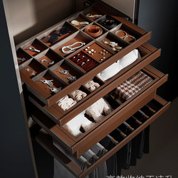 Wardrobe Jewelry Box Drawer-Type Multifunctional Storage Pull-Out Basket, Dressing Room Pull-Out Multi-Compartment Organizer, Underwear Drawer