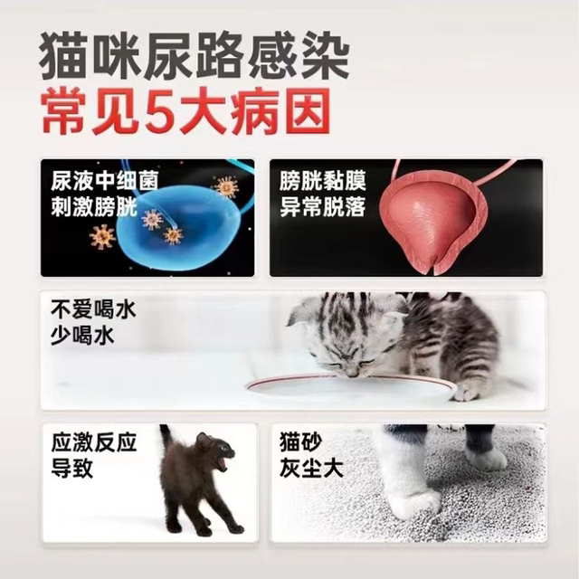 Curated visual reference: Gallery Detail: Diuretic For Cats With Urinary Tract Infections Frequent Urination