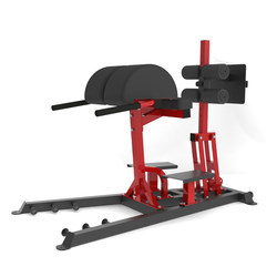 Ttcz Comprehensive Fitness Roman Chair Goat Straight Abdominal Strengthener Commercial Ghd Movable Single Training Equipment