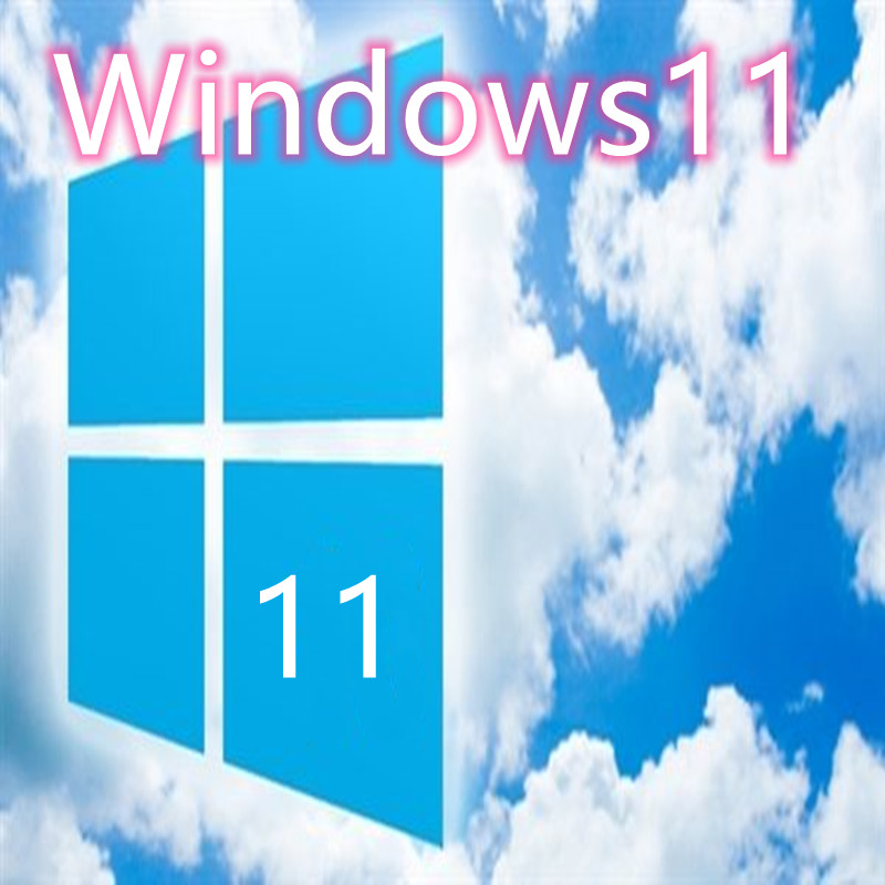 WIN11 ý ׷̵ WINDOWS11 ý Ȩ  ǻ ý  ġ  缳ġ APPLE WIN11 PROFESSIONAL  WINDOWS11 Ȩ   ġ-