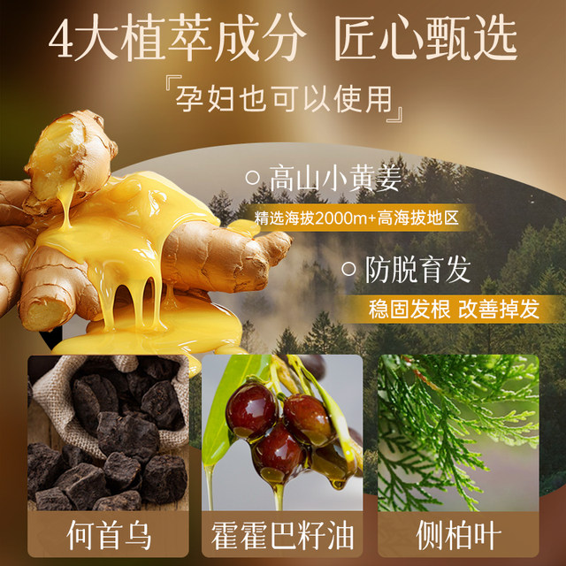 Zhuolanya Ginger Anti hair Loss Control Oil Fluffy Hair fixing Ginger vitamina-c-idraet-pro-body