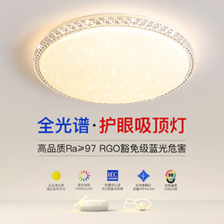 2025 New Led Ceiling Light for Room, Bedroom, Living Room, Hall, Modern Simple and Elegant Zhongshan Lighting Fixtures