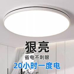 Ultra-Thin Led Ceiling Light, Simple and Modern Master Bedroom Light, Elegant Room Light, Creative Entrance Hall Light, Nordic Style Lighting