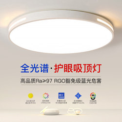 2025 New Led Ceiling Light for Room, Bedroom, Living Room, Hall, Modern Simple and Elegant Zhongshan Lighting Fixtures