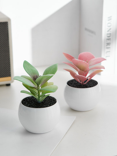 模擬草 人工鉢植えのリビングルーム屋内鉢植えの植物シミュレーション 