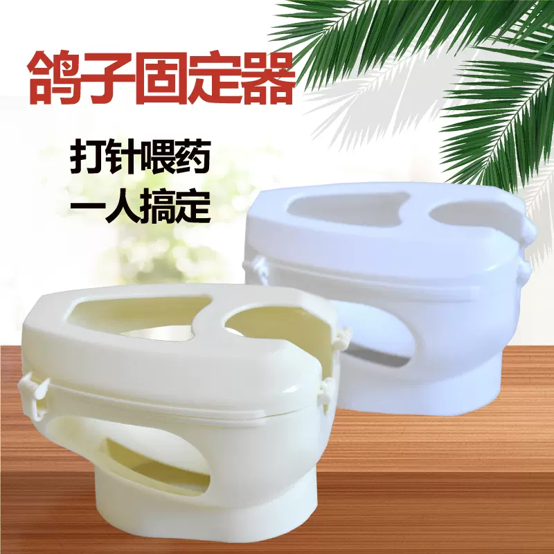 鸽子用品用具信鸽固定器赛鸽喂药器固定看鸽子眼固定架输液器