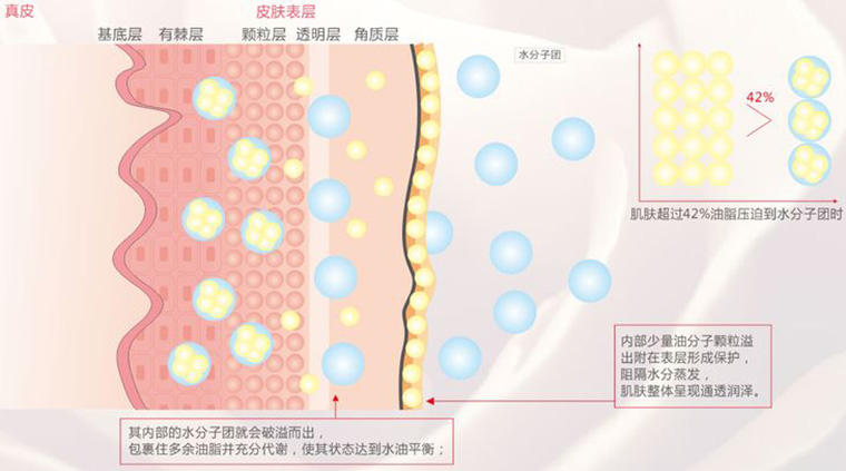 深度补水维持平衡
