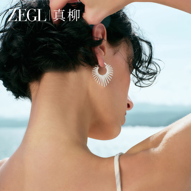 ZEGL Zhenliu Heart Holiday Earrings Women's Exaggerated Earrings Niche Unique Earrings High-end Large Earrings New Hot Style