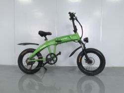 18-Inch Folding Bike, 20-Inch Folding Bike, 16-Inch Folding Bike, 18-Inch Folding Electric Bike