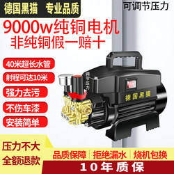 German Black Cat Pure Copper Household Adjustable Pressure High-Power Cleaning Machine 220V Powerful High-Pressure Portable Car Washing Machine