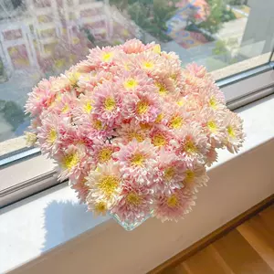 小菊鮮花- Top 500件小菊鮮花- 2024年4月更新- Taobao