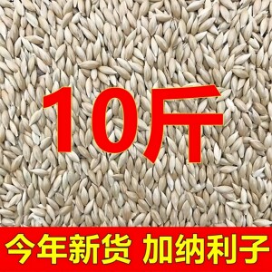 
10*0.5kg newly imported Canary white-pointed bird parrot food 50*0.5kg straw seed white swallow pearl tiger skin peony pigeon food